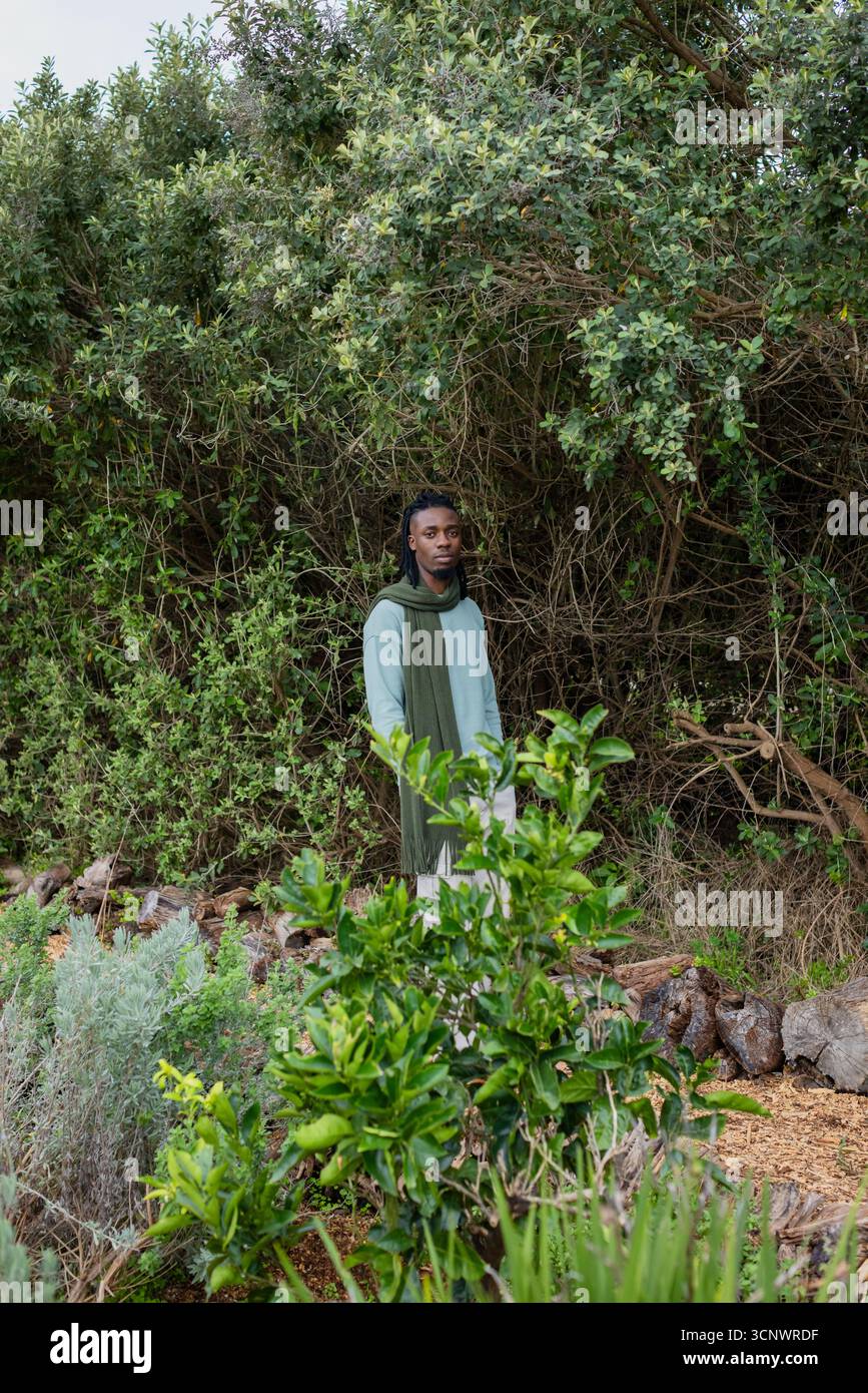 Uomo afroamericano in piedi tra arbusti verdi in giardino vicino ad agrumi e pacciame Foto Stock