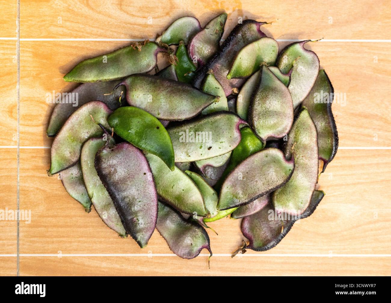 Fagioli freschi dell'orto. I piselli verdi sono una buona fonte di fibre, proteine, vitamine B e molte altre importanti vitamine e minerali. Foto Stock