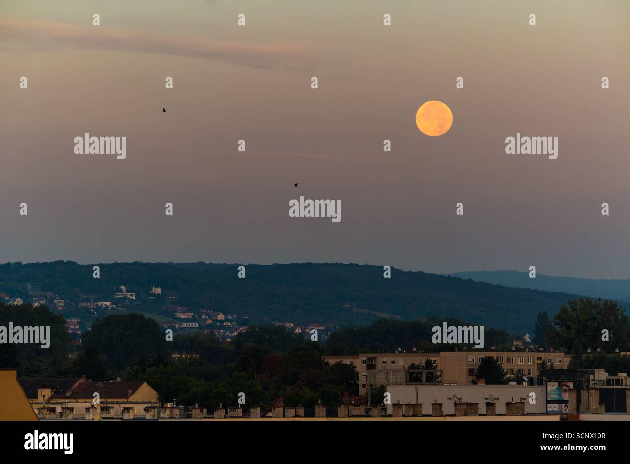 Ambientazione Full Moon sui monti Sopron e la città all'alba, Sopron, Ungheria Foto Stock