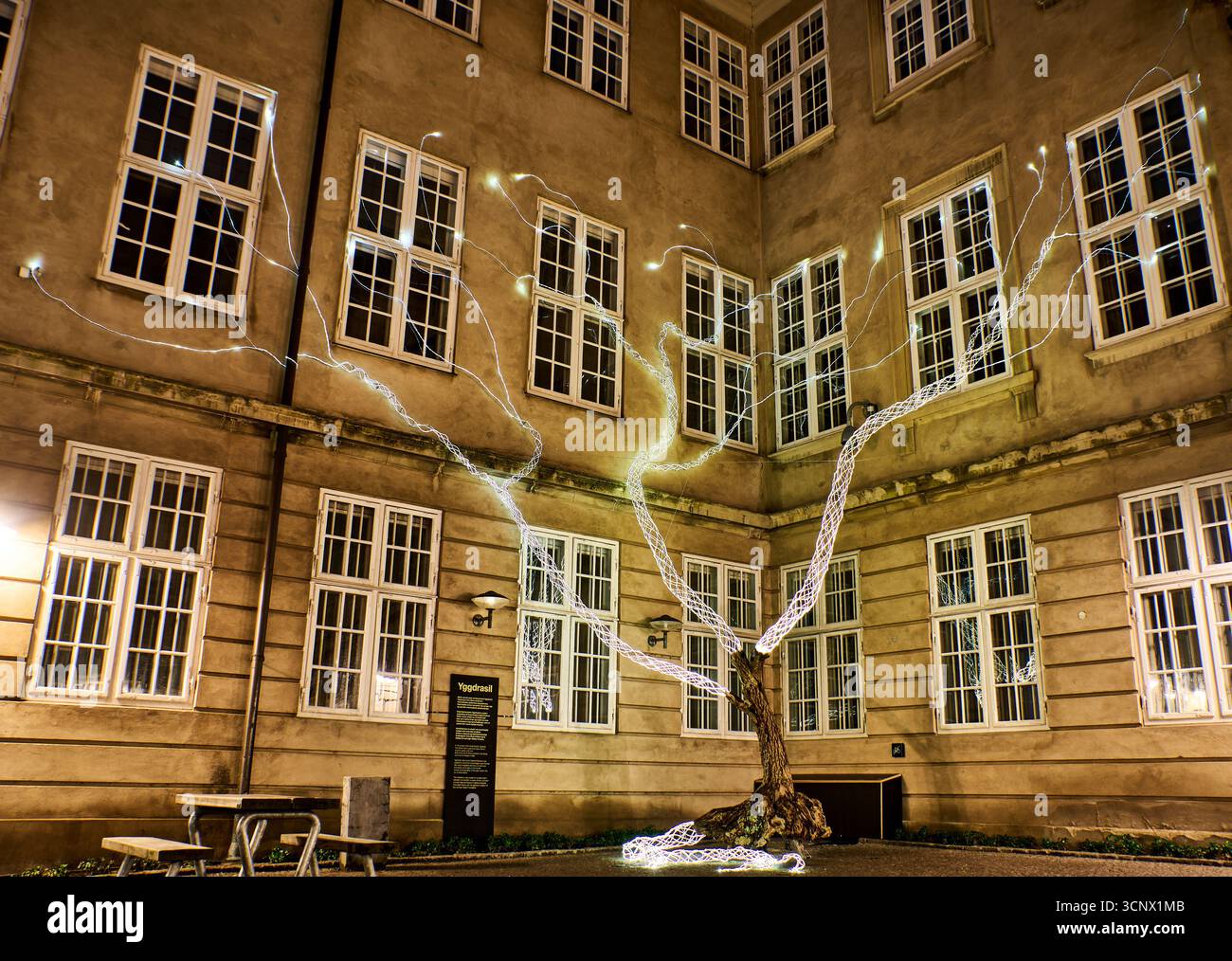 La facciata del Museo Nazionale della Danimarca: Un cortile incorniciato da pareti finestre, con un albero luminoso che getta luminosi sentieri luminosi, trasmettendo la storia Foto Stock
