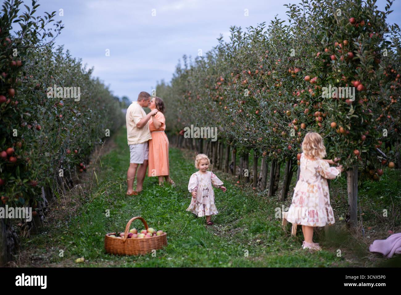 Una famiglia allegra trascorre del tempo di qualità in un meleto, raccogliendo mele mature e godendosi l'aria fresca. La scena cattura l'amore, il legame e la natura" Foto Stock