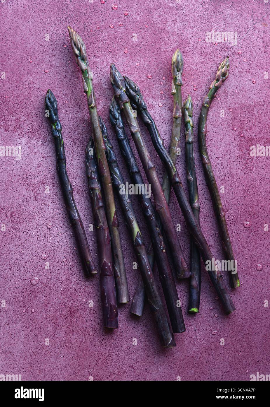 Un mucchio di lance di asparagi fresche disposte artisticamente su uno sfondo viola vivace e testurizzato. L'immagine evidenzia il contrasto tra aspar Foto Stock