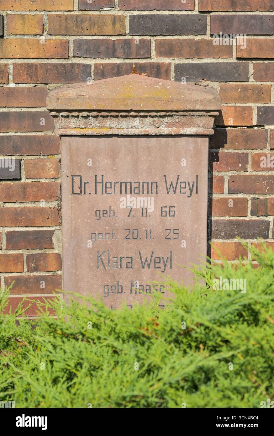 Hermann Weyl, Grab, Gedenkstätte der Sozialisten, Friedrichsfelde, Lichtenberg, Berlino, Germania Foto Stock