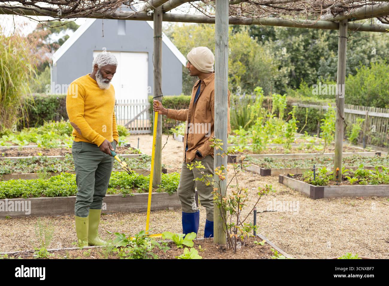 Diversi amici maschi che lavorano letti rialzati con pala con manico giallo nell'orto della comunità Foto Stock