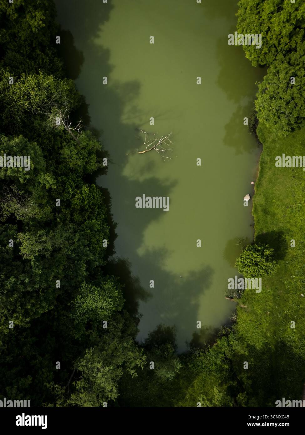 Vista aerea del fiume verde e fermo riflette il cielo, incorniciato dagli alberi lussureggianti di Vilnius, Lituania. Foto Stock