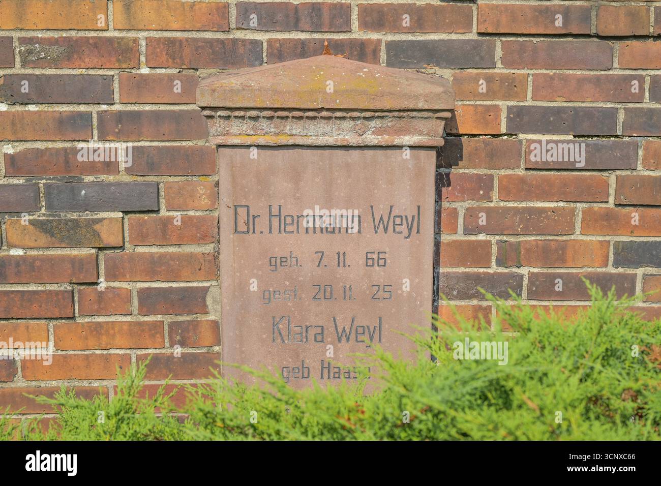 Hermann Weyl, Grab, Gedenkstätte der Sozialisten, Friedrichsfelde, Lichtenberg, Berlino, Germania Foto Stock