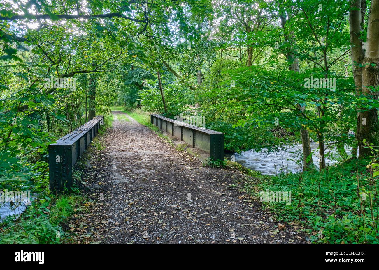 La vecchia funivia che attraversa il fiume Ceiriog a Pandy, Ceiriog Valley, vicino a Chirk, Wrexham Foto Stock