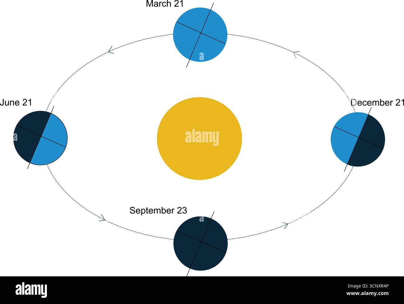 Diagramma che mostra la posizione della Terra e l'inclinazione rispetto al sole durante i solstizi e gli equinozi. Quattro stagioni Illustrazione Vettoriale