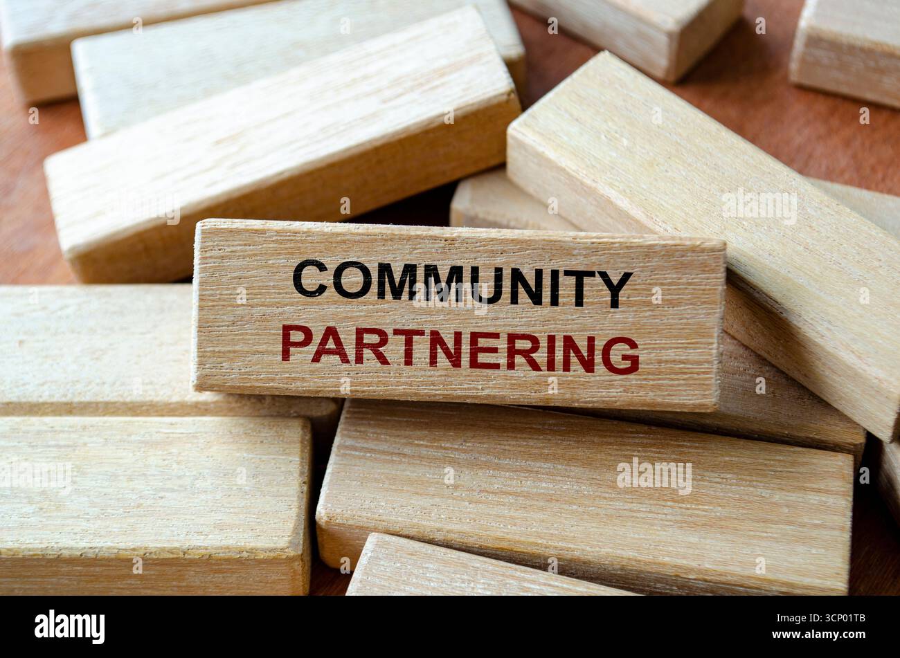 Testo comunitario di partnership scritto su blocchi di legno che rappresentano l'azione collettiva a favore dello sviluppo sociale Foto Stock