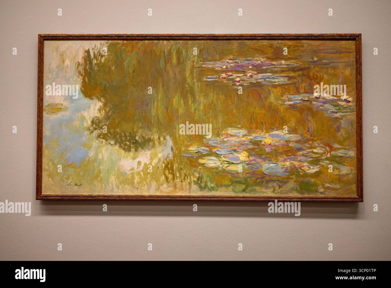 "Ninfee", Claude Monet (1840–1926), c. 1914–1917, parte della mostra permanente del Museo Albertina Foto Stock