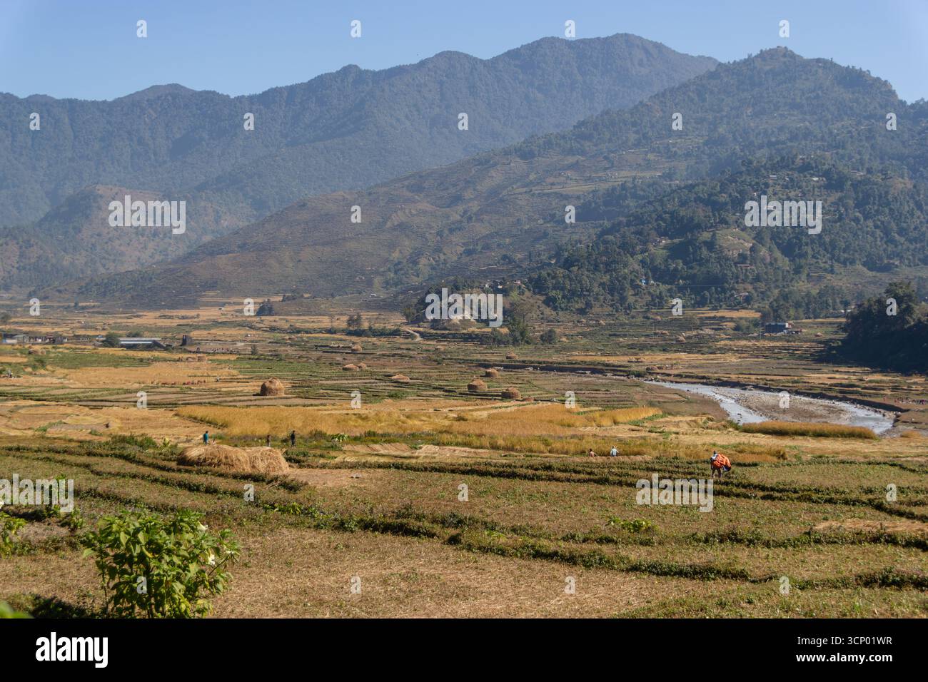 Campi terrazzati e paesaggio rurale con montagne in Nepal Foto Stock