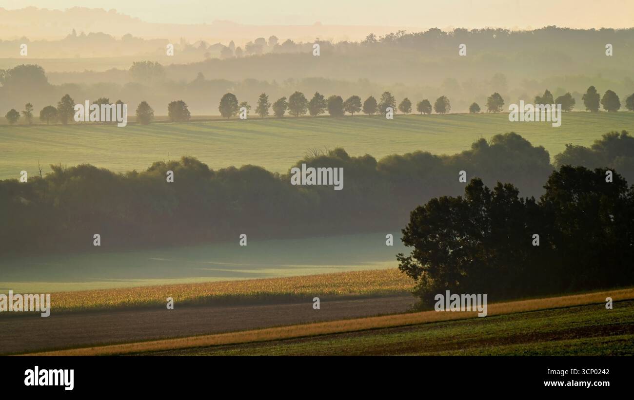 Campagna slovacca nebbiosa all'alba con colline ondulate e alberi sagomati in formato widescreen, distretto di Topoľčany, regione di Nitra, Slovacchia Foto Stock