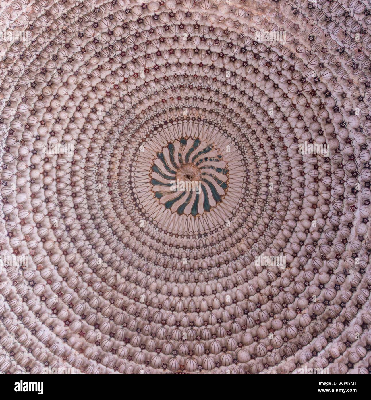 Schema radiale intricato su un antico soffitto a cupola Foto Stock