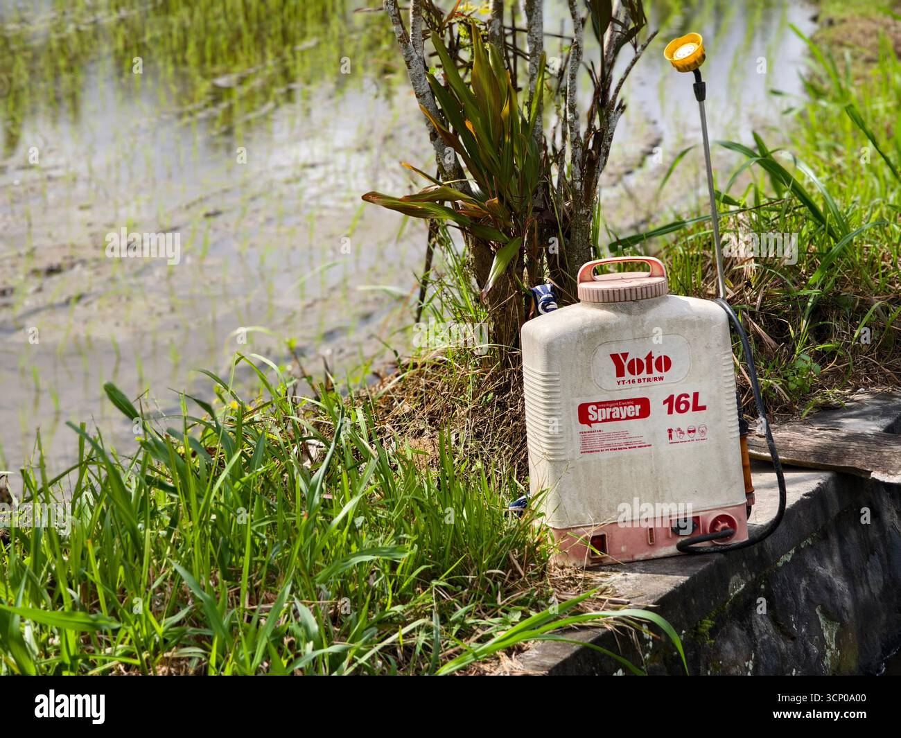 Badung, Bali, Indonesia – 19 settembre 2025: Irroratrice elettrica a zaino Yoto utilizzata per applicare insetticidi o fertilizzanti a colture e piante Foto Stock