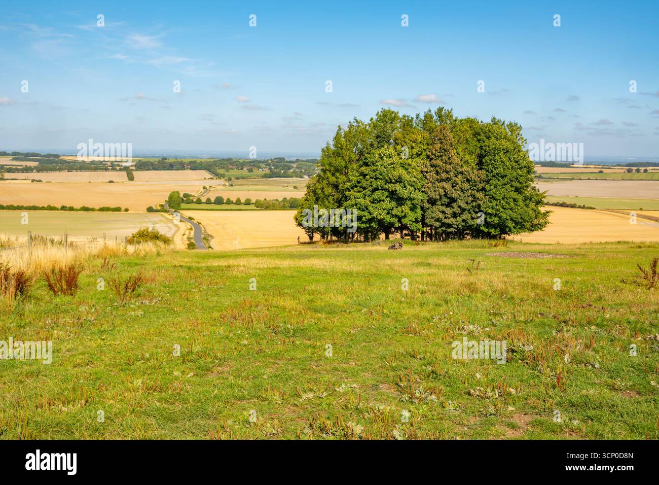 La vista dalla collina sopra Hackpen White Horse Wiltshire Foto Stock
