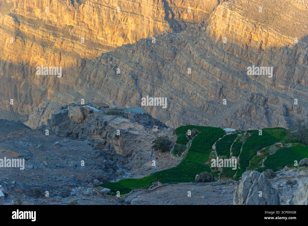 Terreni agricoli terrazzati e piccoli insediamenti annidati nelle Rugged Jebel Jais Mountains, Emirati Arabi Uniti, durante l'ora d'oro Foto Stock