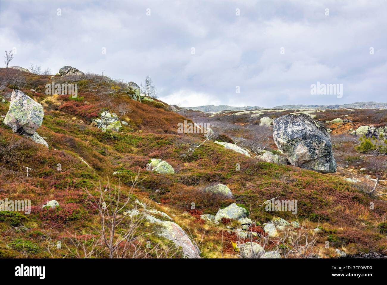 Terreno accidentato con rocce coperte di muschio e vibranti fogliame autunnale sotto un cielo nuvoloso, che mostra la bellezza naturale e l'atmosfera serena della montagna Foto Stock