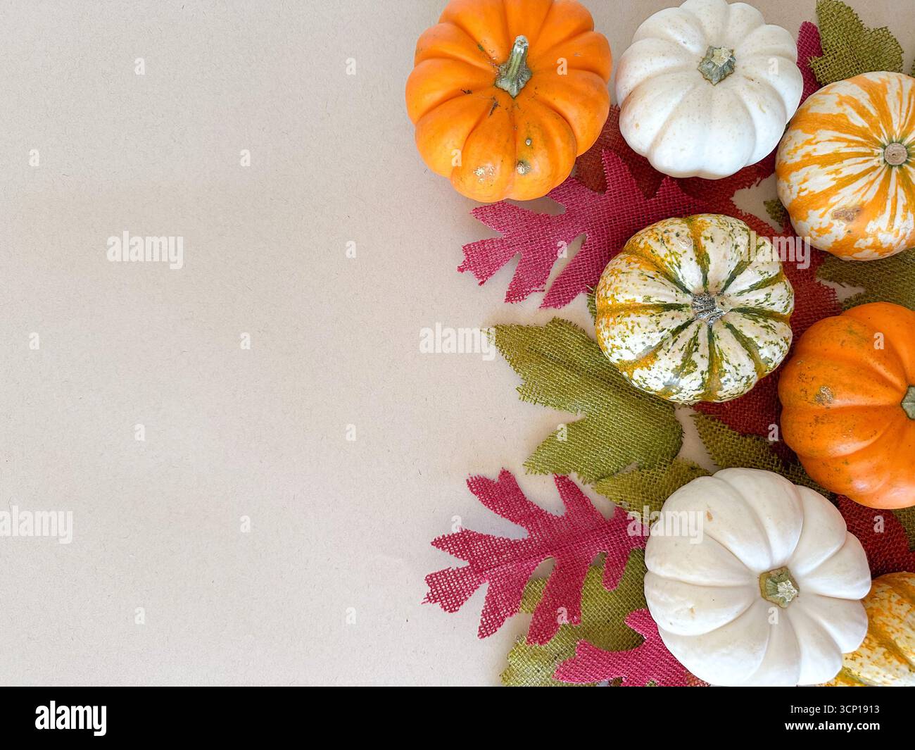 Una natura morta festosa con piccole zucche bianche, arancioni e a righe disposte su foglie di burlap testurizzate in rosso, arancione e verde. Foto Stock