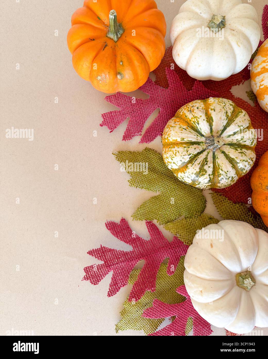 Una natura morta festosa con piccole zucche bianche, arancioni e a righe disposte su foglie di burlap testurizzate in rosso, arancione e verde. Foto Stock