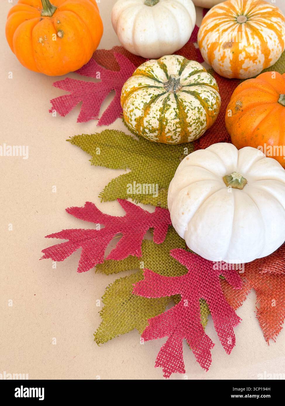 Una natura morta festosa con piccole zucche bianche, arancioni e a righe disposte su foglie di burlap testurizzate in rosso, arancione e verde. Foto Stock