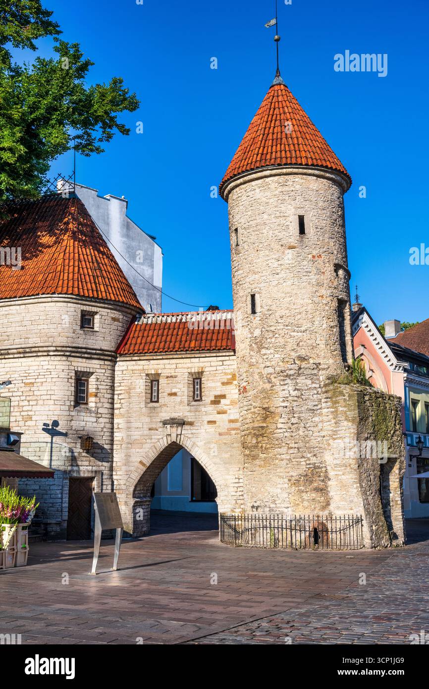 Porta Viru (Viru Väravad) torre di guardia medievale all'ingresso della città vecchia di Tallinn - Tallinn, Estonia, Nord Europa Foto Stock