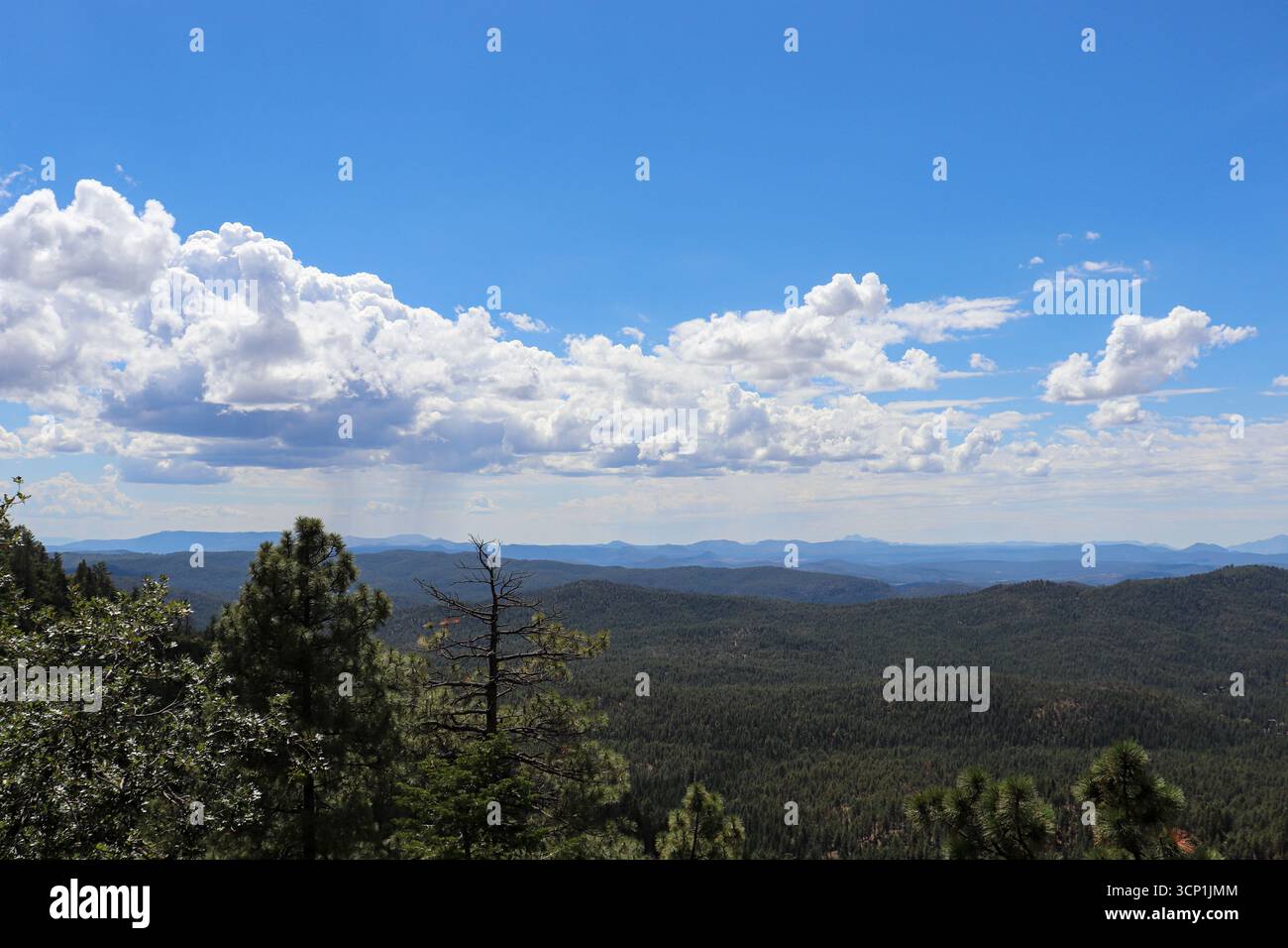 Vista delle montagne che guardano a sud dal bordo del Mogollon presso il centro visitatori del Mogollon Rim sulla 260 in Arizona. Foto Stock
