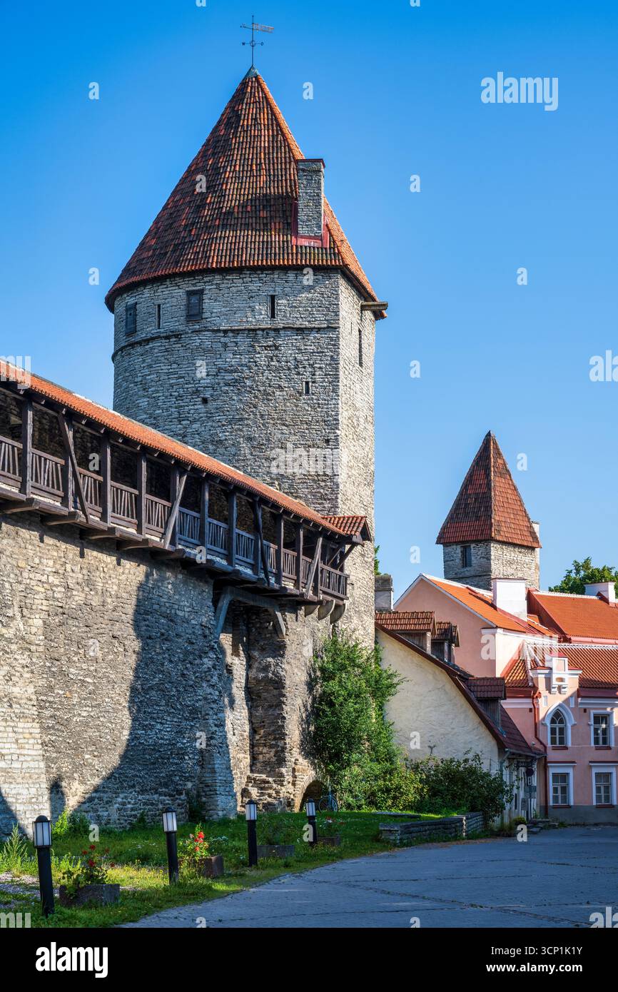 Torre della sauna (Saunatorn) e sezione di mura medievali vicino a Gümnaasiumi Tänav nella città vecchia di Tallinn in Estonia, Europa settentrionale Foto Stock