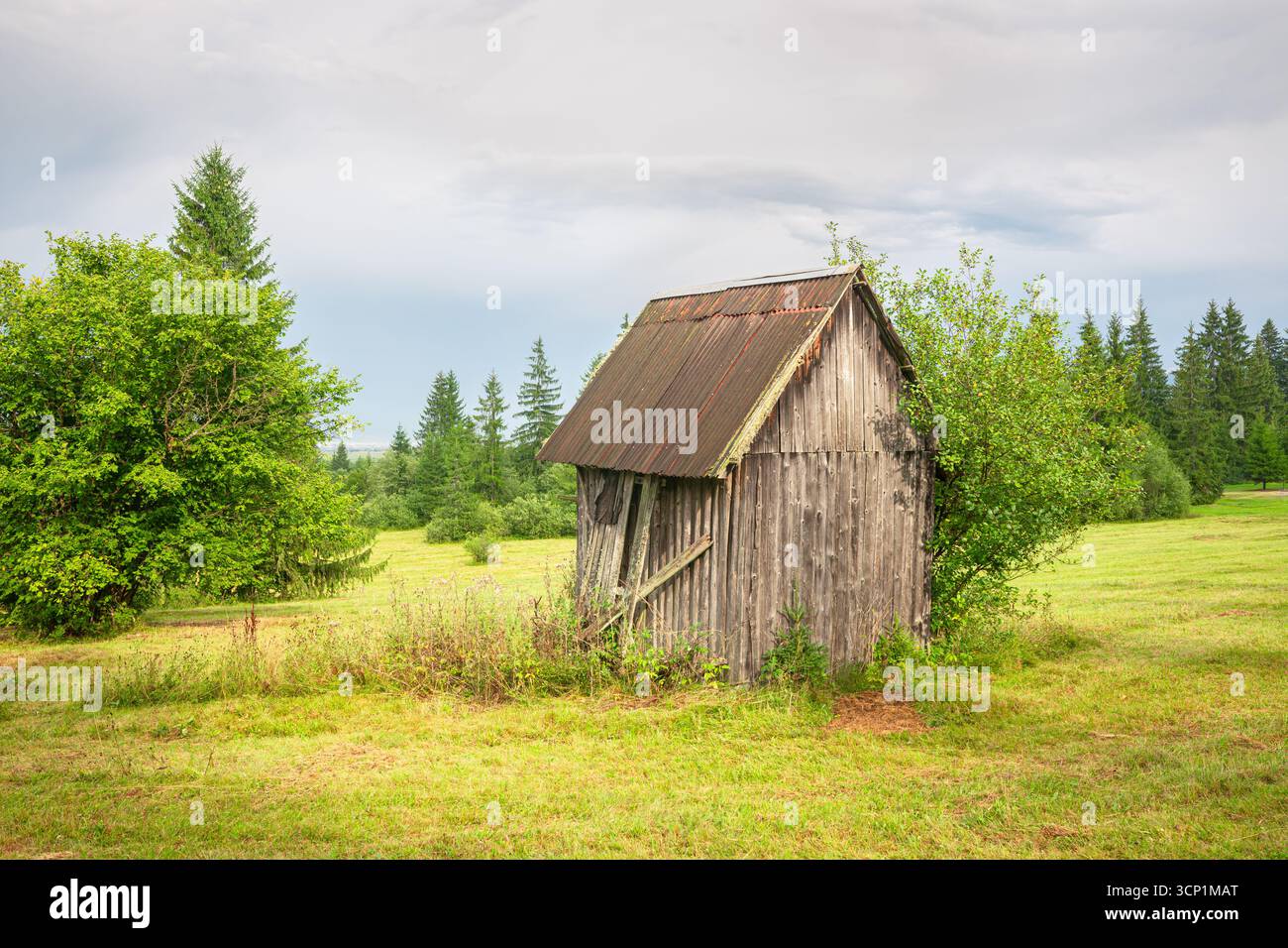 Rustico capannone di legno in campo aperto circondato da alberi verdi Foto Stock