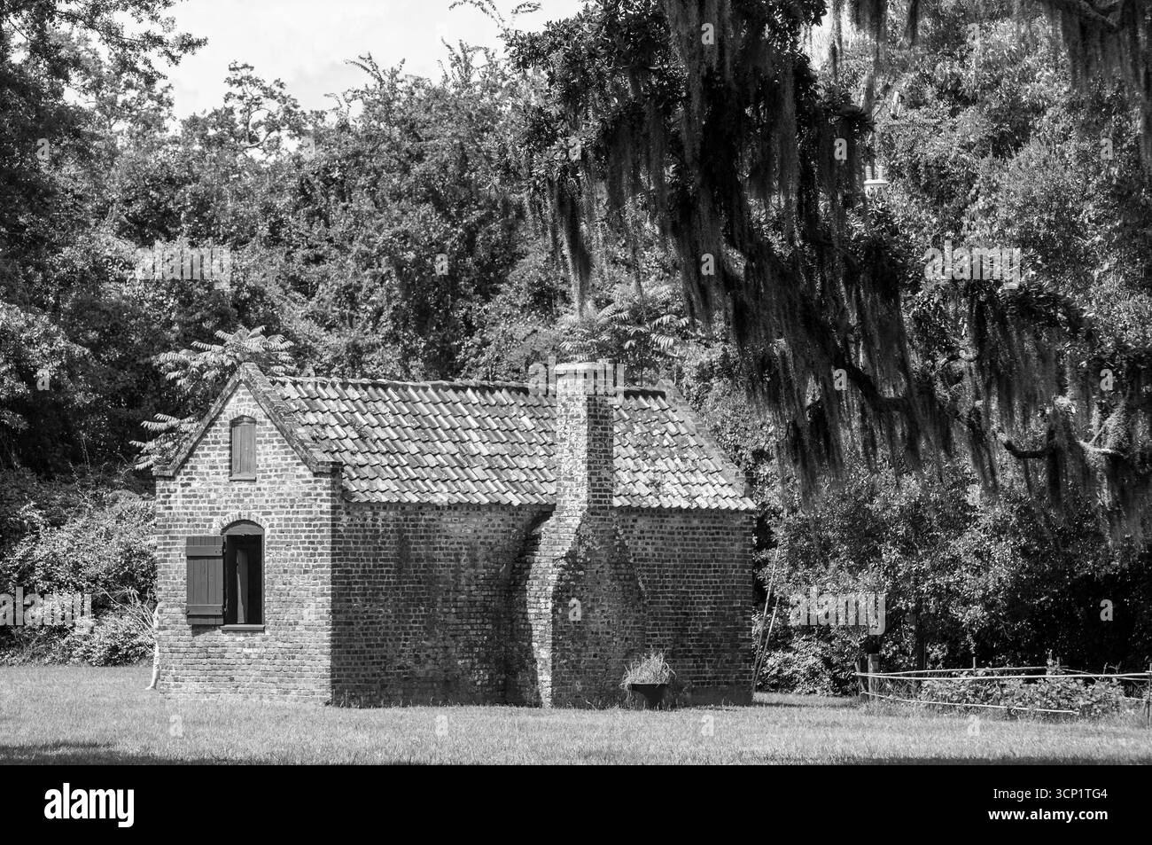 Le piantagioni meridionali raccontano una storia che deve essere raccontata alla prossima generazione di persone. Foto Stock