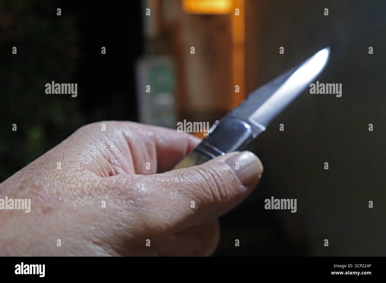 Messer als Kampfmittel und Waffe Ein Mann hält bei Dunkelheit in der Nähe zu einem Hauseingang ein scharfes Messer in der Hand. *** Coltello come arma e arma di guerra Un uomo tiene un coltello affilato in mano al buio vicino all'ingresso di una casa Foto Stock