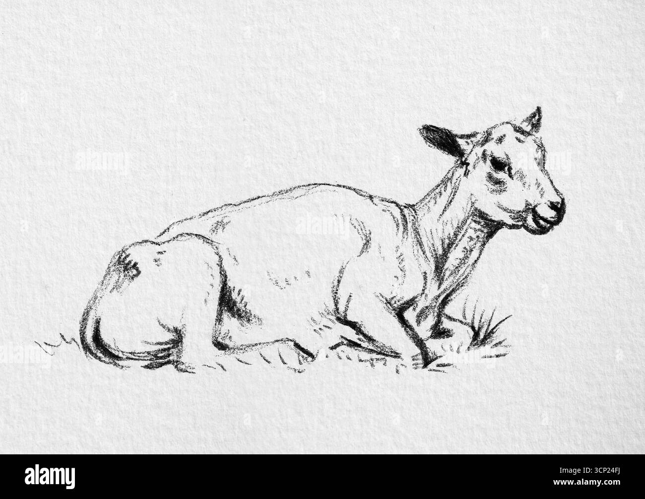 Lying Shaved Sheep di Jean Bernard - Pittura pastorale francese del XIX secolo, animali da fattoria reclinabili, studio rustico del bestiame, belle opere d'arte di pubblico dominio Foto Stock