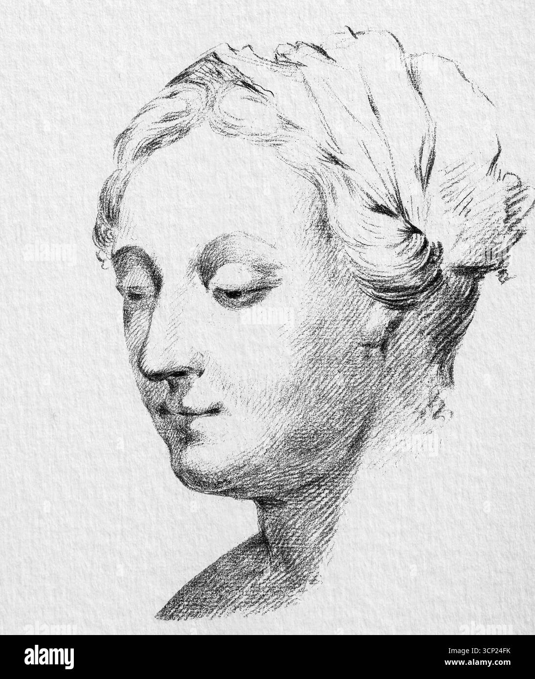 Lying Shaved Sheep di Jean Bernard - Pittura pastorale francese del XIX secolo, animali da fattoria reclinabili, studio rustico del bestiame, belle opere d'arte di pubblico dominio Foto Stock