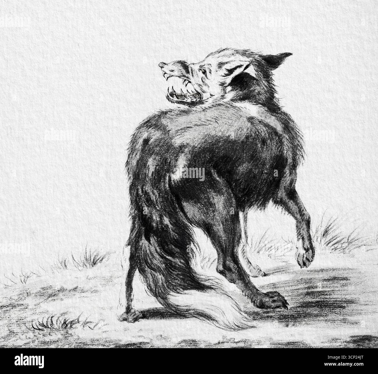Fox di Jean Bernard (1775-1883) - pittura naturalistica francese del XIX secolo, arte dettagliata degli animali, opere d'arte naturalistiche di pubblico dominio Foto Stock