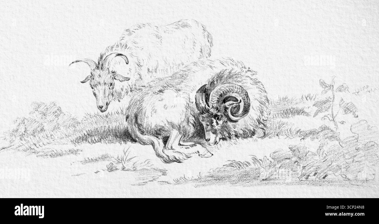Lying Goat and a Standing Goat di Jean Bernard (1775–1883) – disegno del bestiame francese del XIX secolo, Pastoral Farm Animal Study, Original from the Rijk Foto Stock