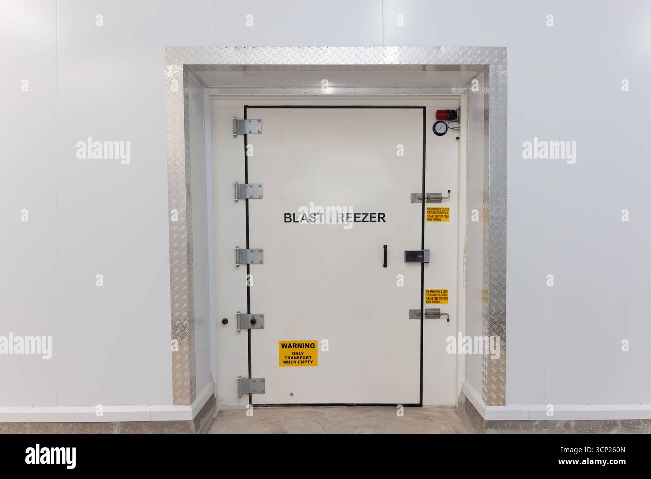 Fabbrica di macelleria per mattatoi con granigliatore, edifici progettati per la conservazione di frigoriferi e congelatori, sistemi di stoccaggio, nessuno Foto Stock