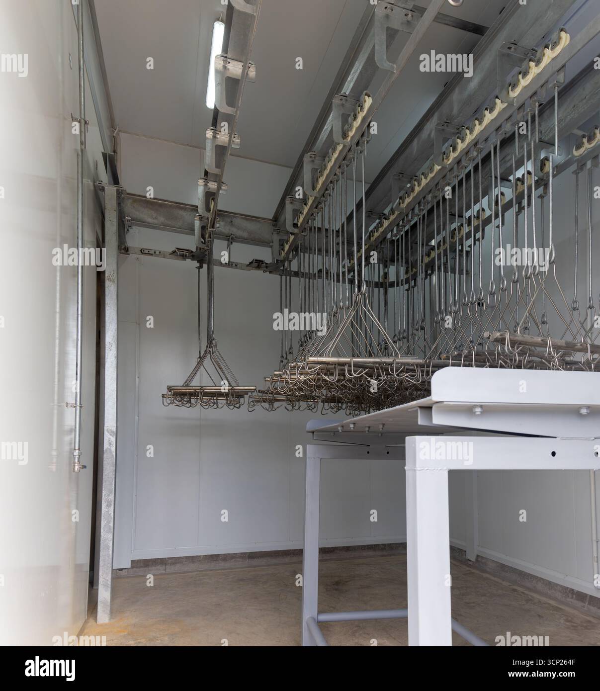 Carcassa dell'attrezzatura del mattatoio appesa ai ganci sul soffitto, attrezzatura moderna per immersione a caldo Foto Stock