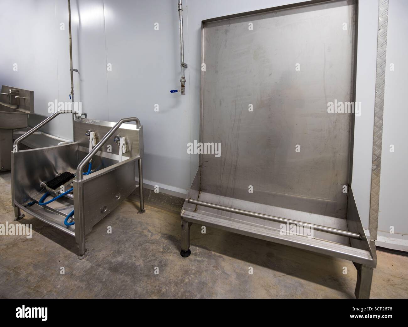Apparecchiature per mattatoi , stazione per la pulizia di stivali, acciaio inossidabile, requisiti igienici, Foto Stock