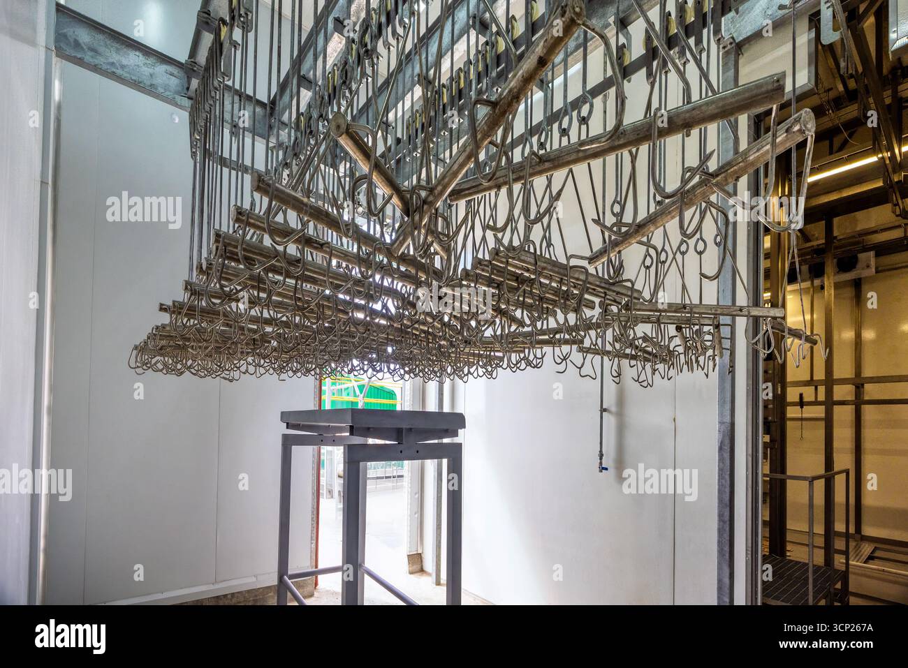 Carcassa dell'attrezzatura del mattatoio appesa ai ganci sul soffitto, attrezzatura moderna per immersione a caldo Foto Stock