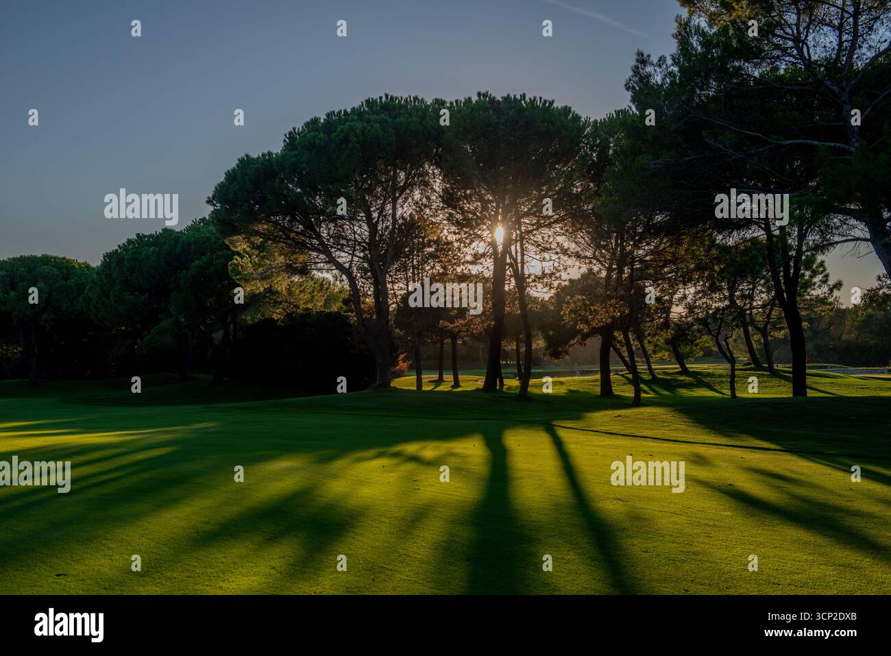 Campo da golf con alberi e laghetto Foto Stock