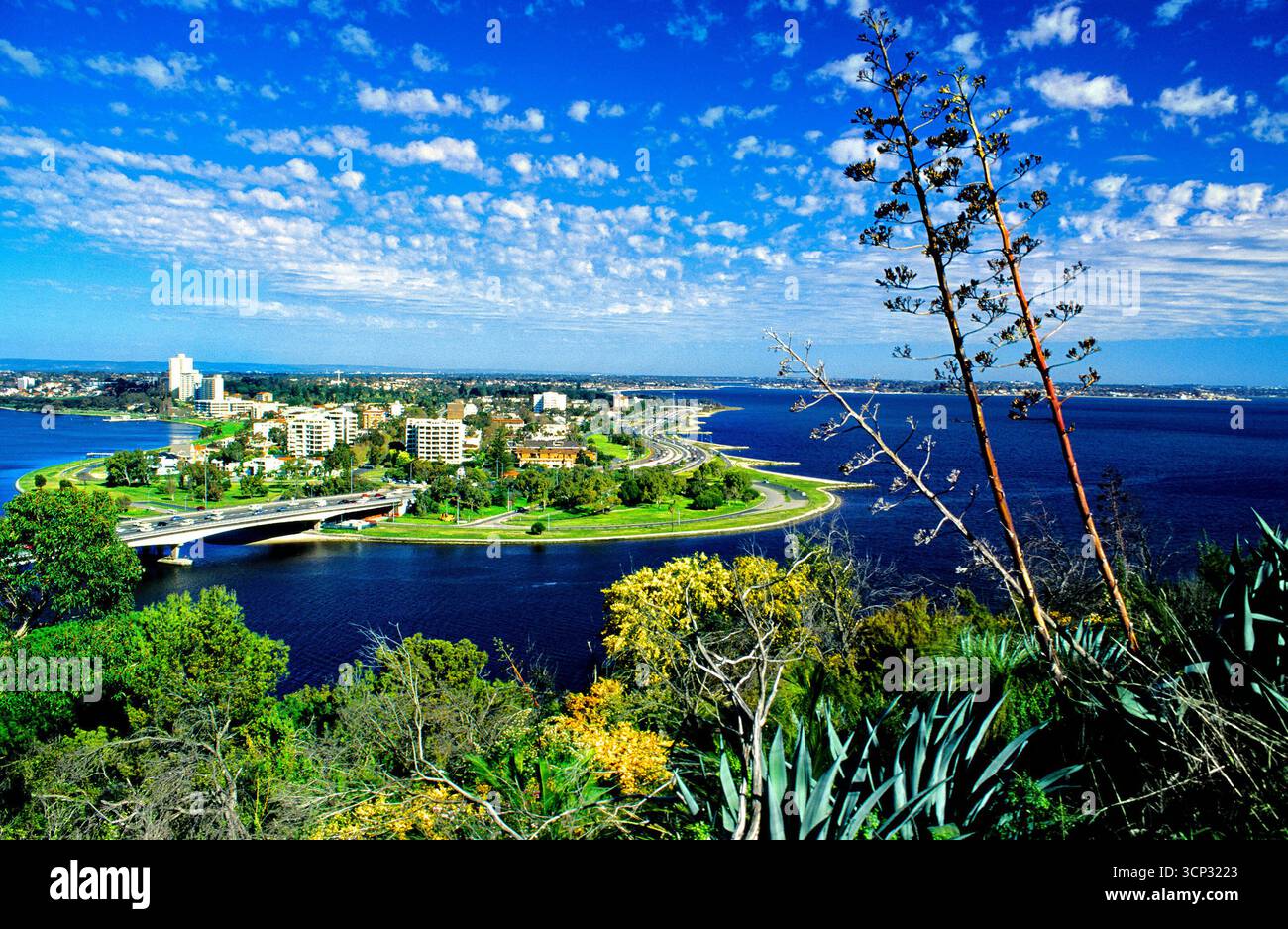 La costa meridionale di Perth e il fiume Swan visti da Kings Park, nell'anno 1996, Perth, Australia Occidentale Foto Stock
