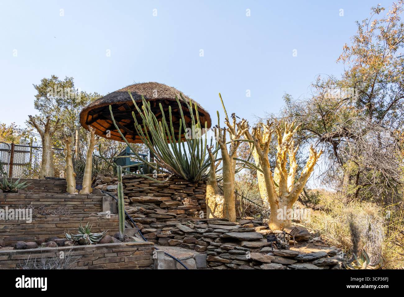 Un sentiero in pietra si snoda tra boschi secchi e cespugli presso il Giardino Botanico Nazionale, Windhoek, Namibia, con cartelli interpretativi lungo il sentiero e il dis Foto Stock
