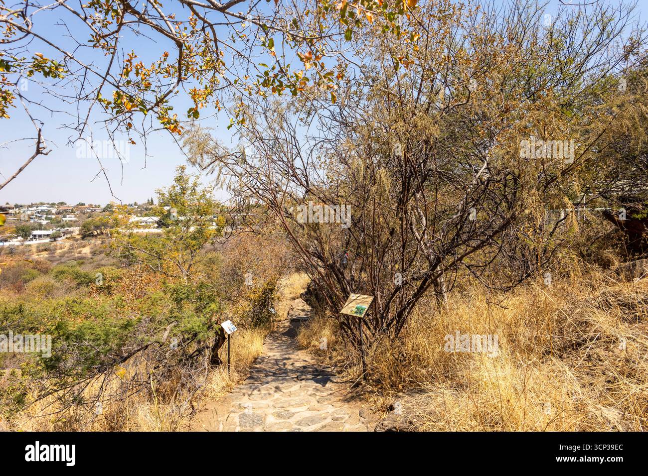 Un sentiero in pietra si snoda tra boschi secchi e cespugli presso il Giardino Botanico Nazionale, Windhoek, Namibia, con cartelli interpretativi lungo il sentiero e il dis Foto Stock