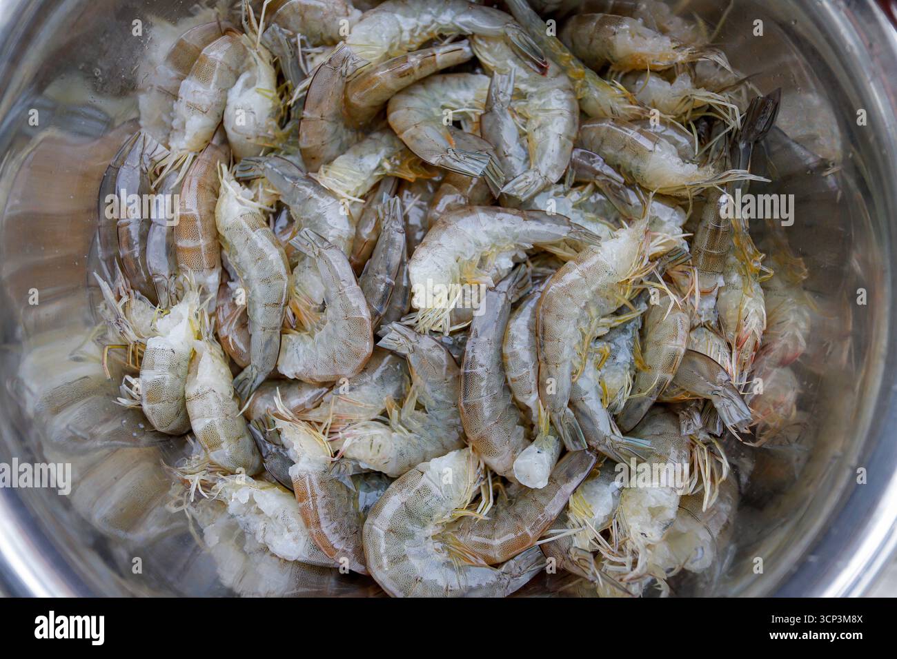 Gamberi tigre bianchi freschi o gamberi bianchi crudi, senza testa. Foto Stock
