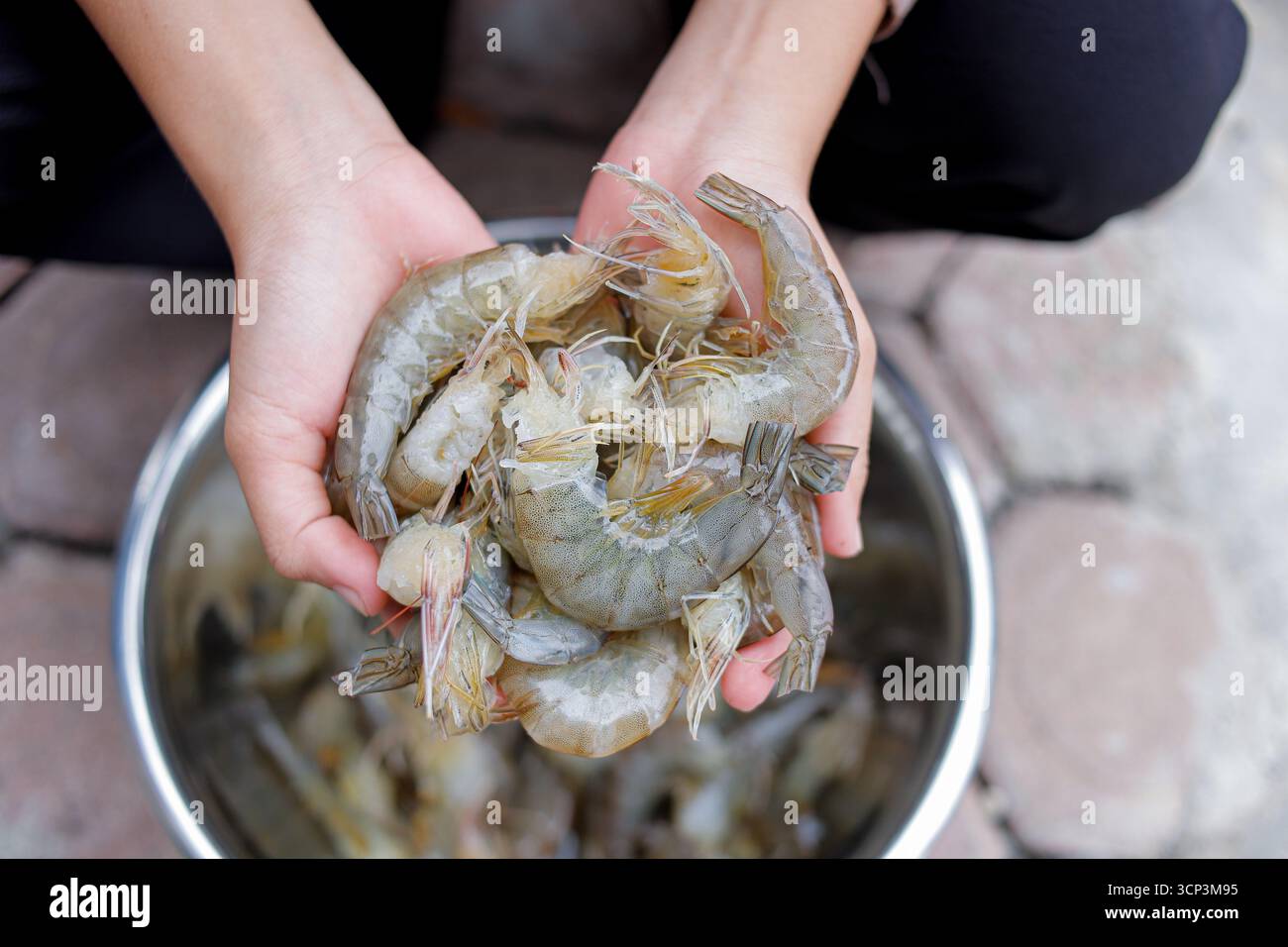 Gamberi tigre bianchi freschi o gamberi bianchi crudi, senza testa. Foto Stock