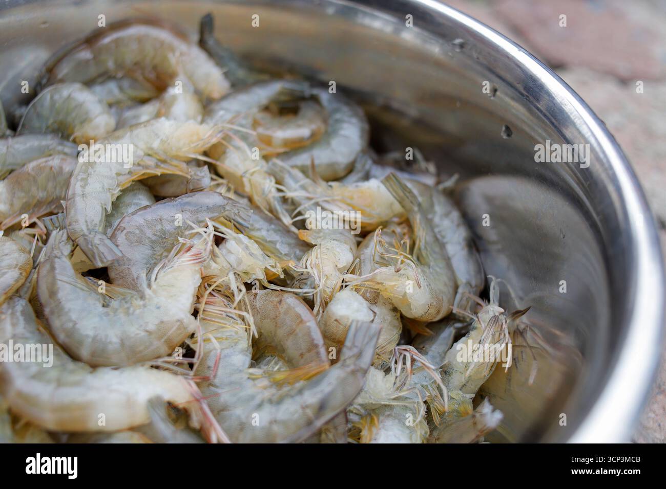 Gamberi tigre bianchi freschi o gamberi bianchi crudi, senza testa. Foto Stock