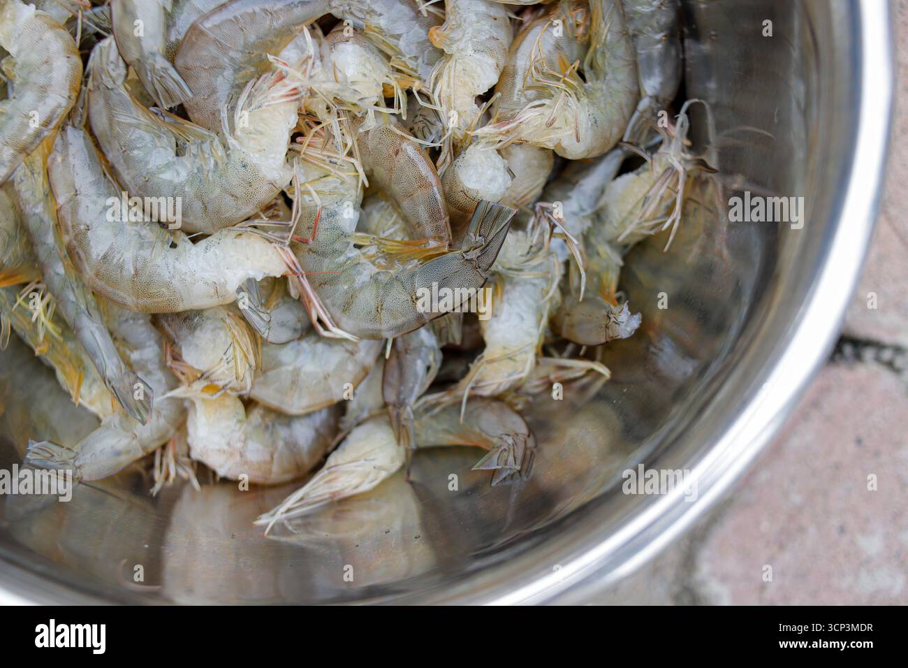 Gamberi tigre bianchi freschi o gamberi bianchi crudi, senza testa. Foto Stock