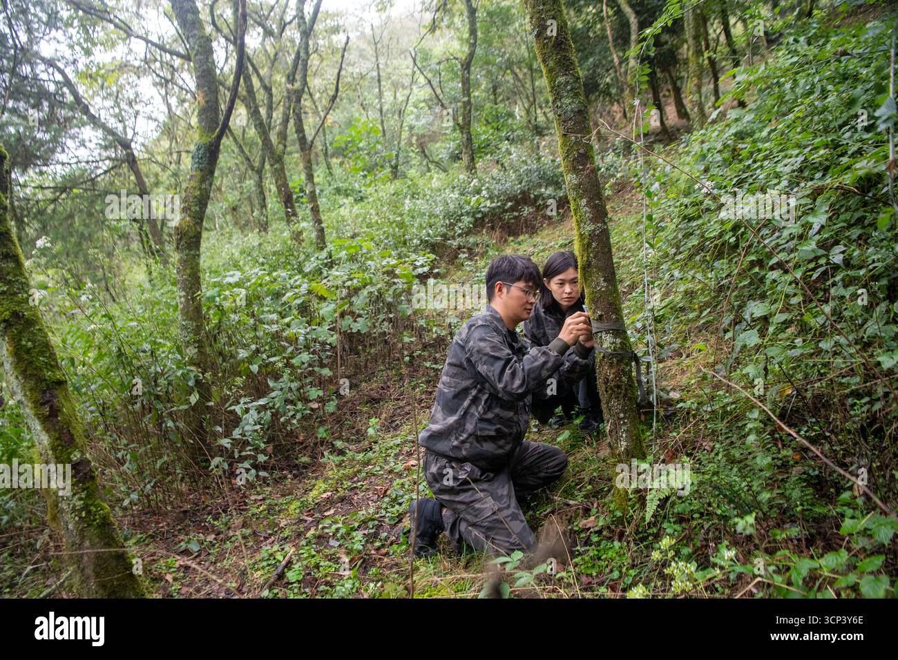 (250924) -- CHONGQING, 24 settembre 2025 (Xinhua) -- li Xin (L) e Wang Yongman, entrambi membri del personale dell'amministrazione della riserva naturale nazionale del monte Jinfo, installano una termocamera nella riserva nel distretto di Nanchuan, Chongqing, nella Cina sud-occidentale, 23 settembre 2025. Con una superficie totale di oltre 40.000 ettari, la Jinfo Mountain National Nature Reserve ospita oltre 4.016 piante vascolari e 465 specie di vertebrati. Negli ultimi anni l'amministrazione della riserva ha istituito una rete di monitoraggio ecologico per proteggere e ricercare specie rare come l'argento catay Foto Stock