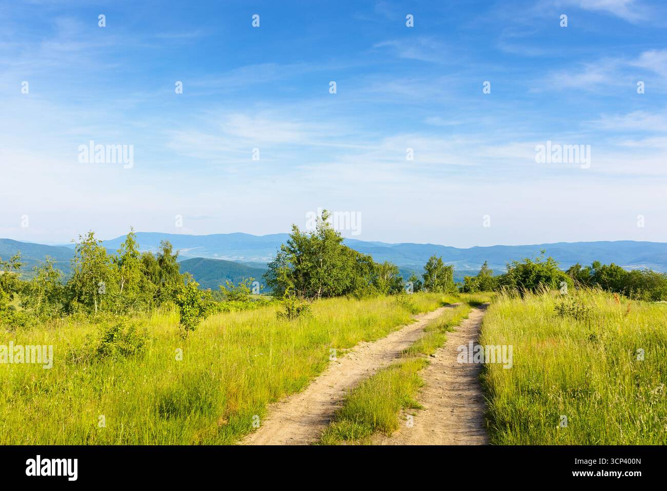 strada sterrata che attraversa il campo in montagna. bellissimo paesaggio rurale dell'ucraina in estate. vista panoramica di un ambiente verde di campagna sotto il cielo azzurro Foto Stock