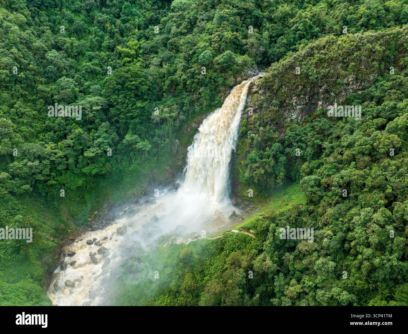Veduta aerea di una potente cascata che si getta attraverso fitte e vibranti fogliame verde, i toni terrosi dell'acqua contrastano con il paesaggio verdeggiante circostante, Abejorral, Colombia. Foto Stock