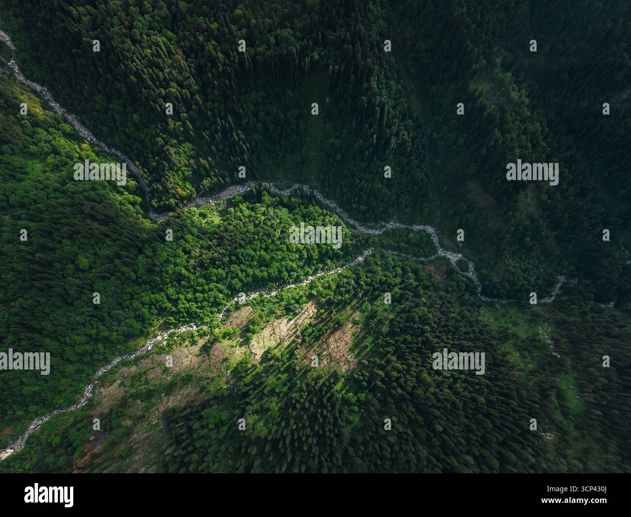 La vista aerea di un fiume serpentino si fa strada attraverso un arazzo di foresta verdeggiante, accostando luce e ombra in una sinfonia di bellezza naturale, S. Foto Stock